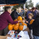pumpkin carving in North Lodge park
