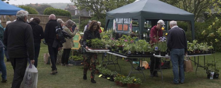 North Lodge Park Gardening Festival 2019